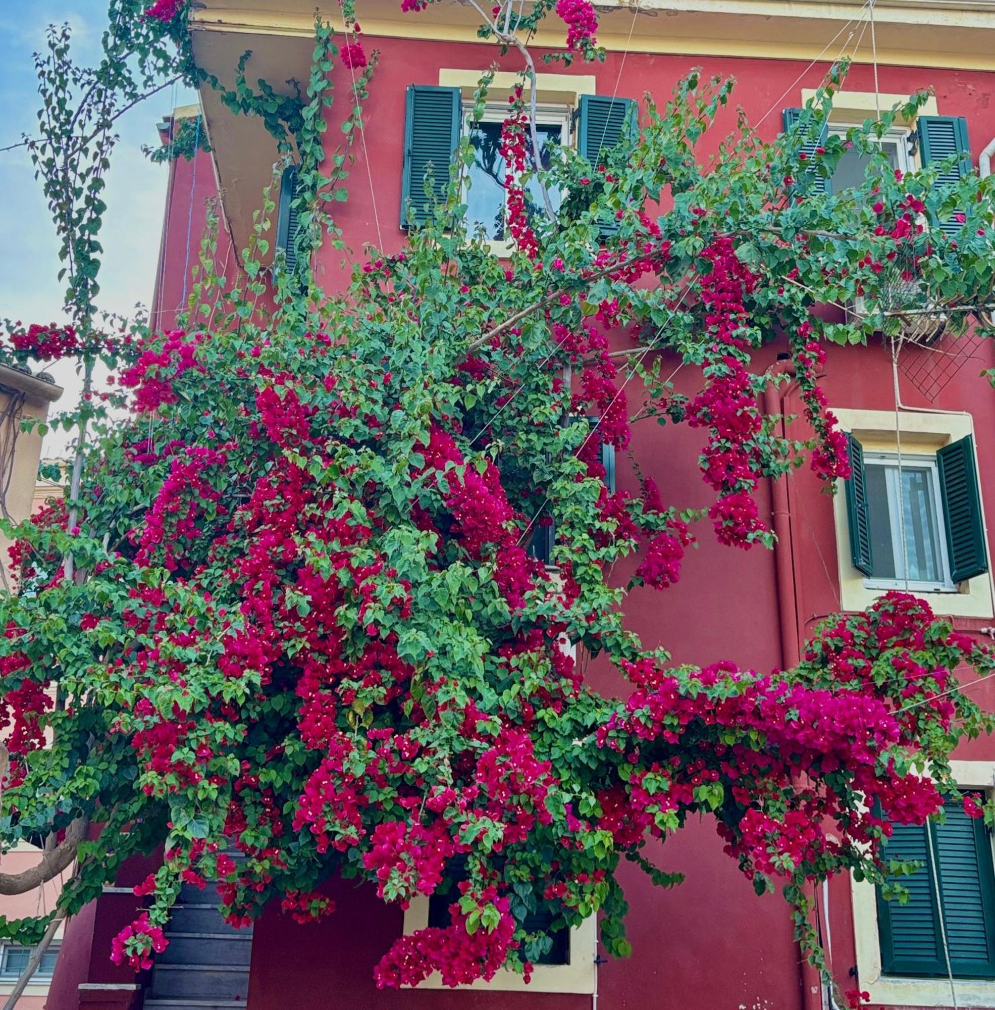Corfu Port Home Dış mekan fotoğraf